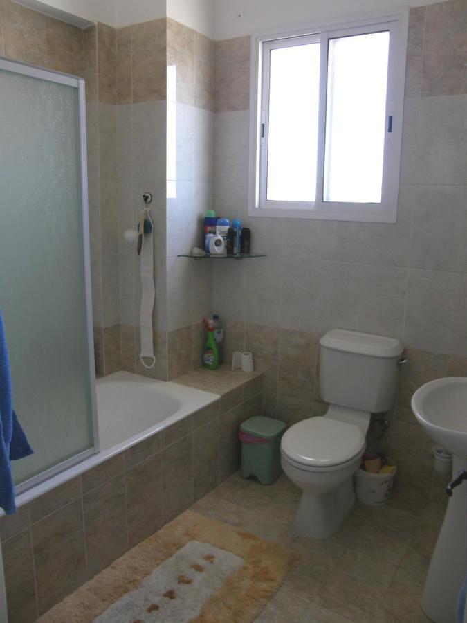 Athena And The Owl Beachside Apt Paphos Exterior photo